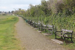 An infinity of benches