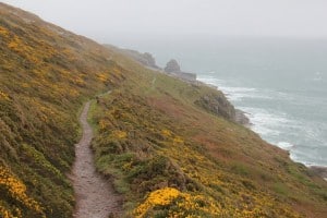 Coastal path