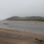 Erme estuary