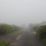Burgh Island on a foggy day