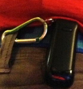 Fitbit with lanyard & carabiner