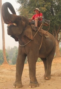 Geoff on a Elephant