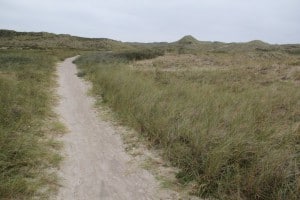 Typical cycle trail today