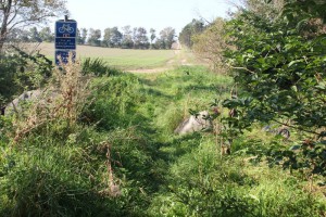 The main cycle route 5 - can you spot it?