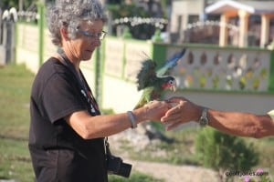 Dutch lady with parrot