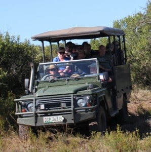 Safari vehicle