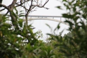 Bloukrans Pass bridge