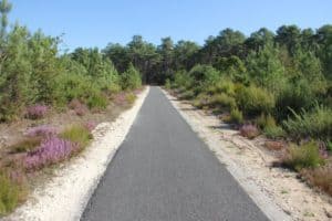 What a cycle track should look like